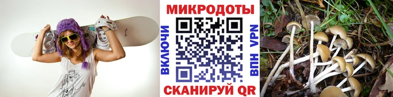Галлюциногенные грибы мухоморы  Эртиль 